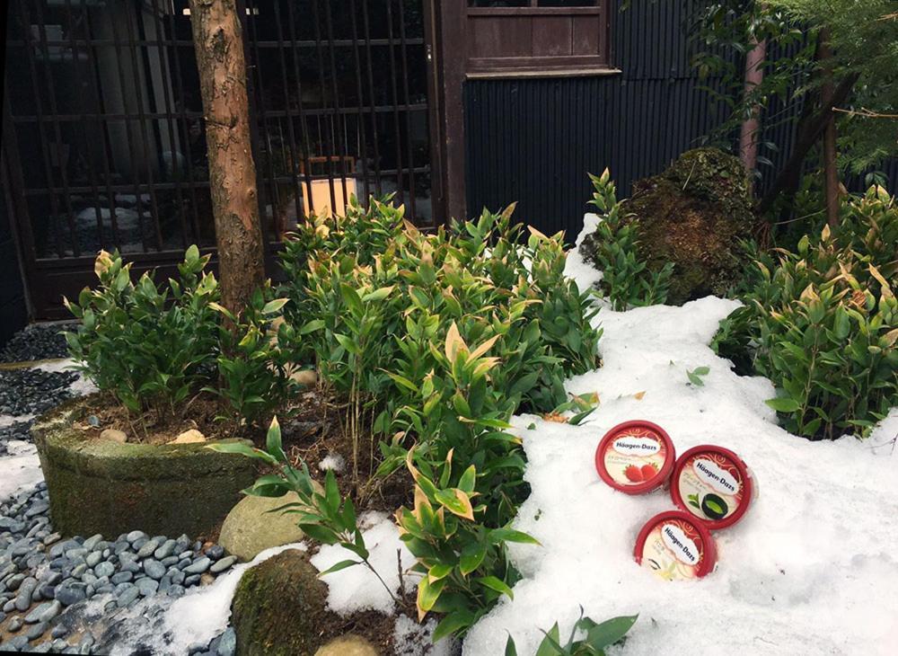 Ichii No Niwa 一棟貸切の古民家宿 櫟の庭 Takayama  Esterno foto